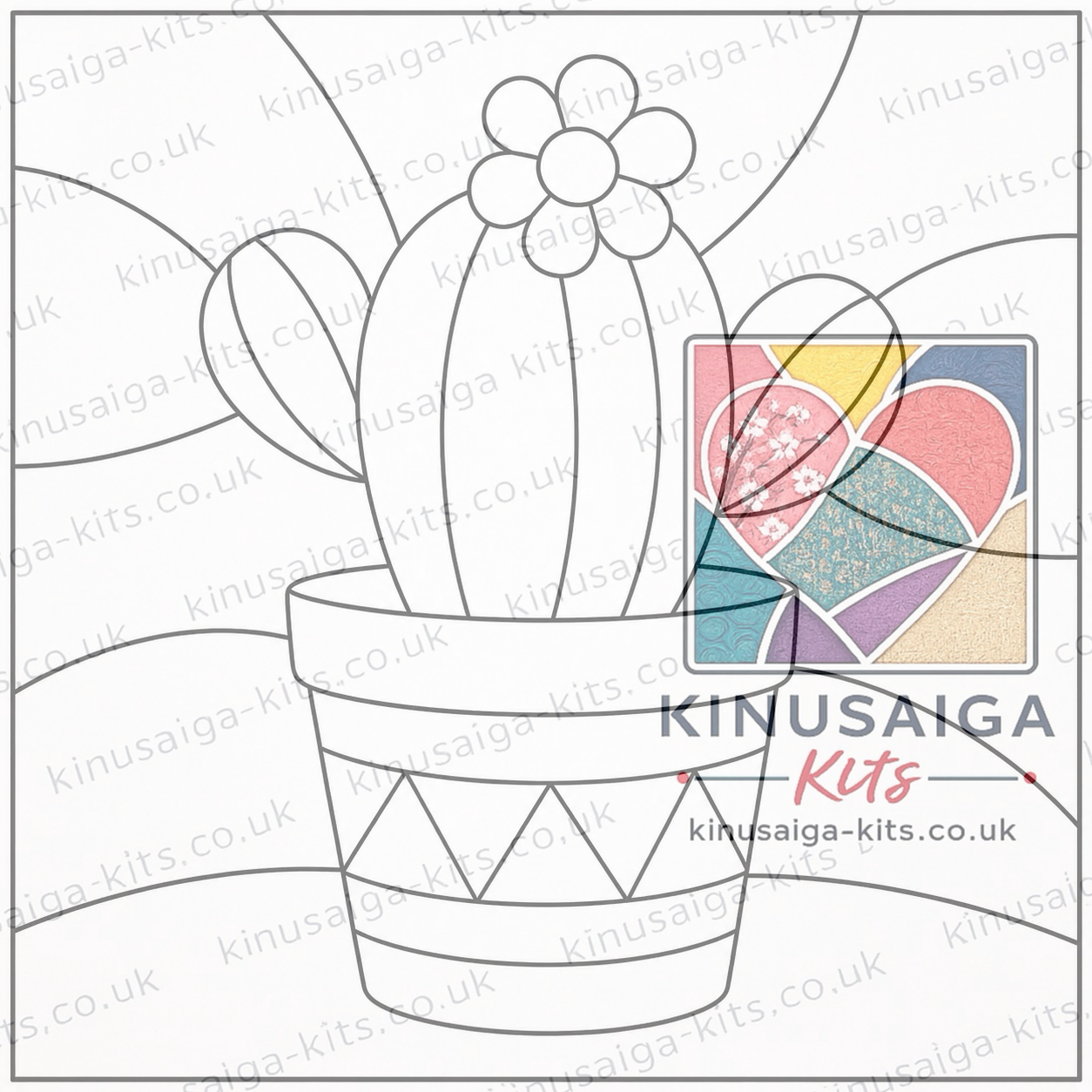 beginner cactus kinusaiga beginner cactus kinusaiga